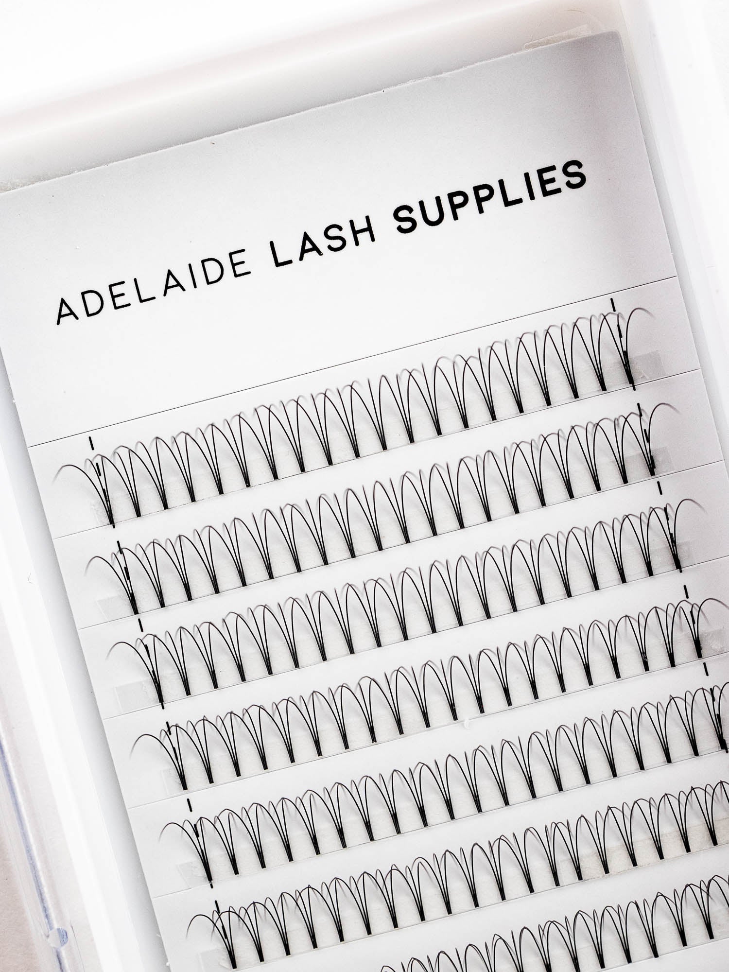 Volume Lash Trays