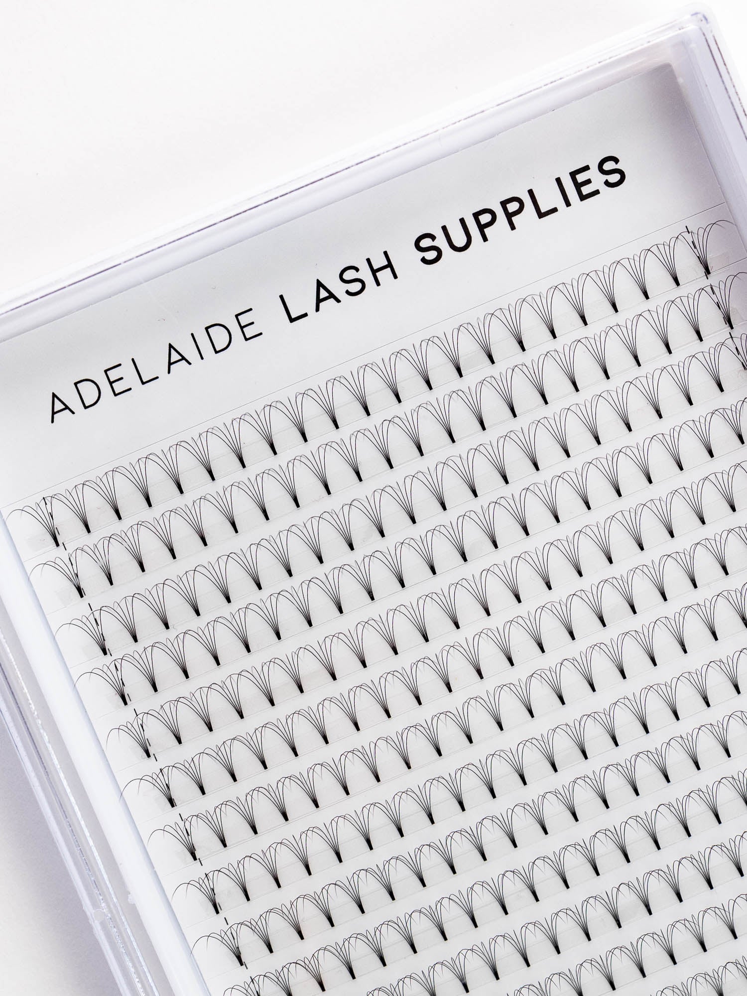 All Lash Trays