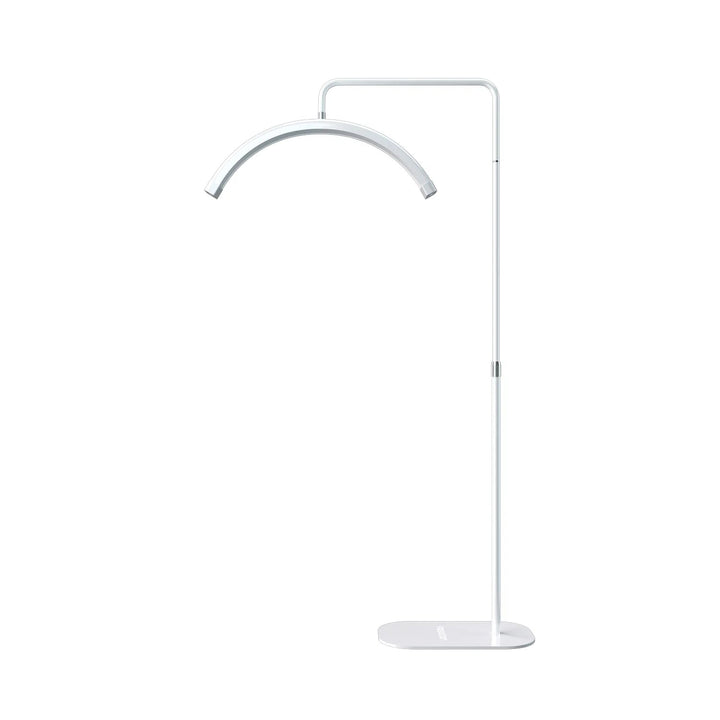 LED Moon Arch Light